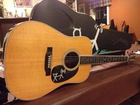 Acoustic Kitty Project - duo