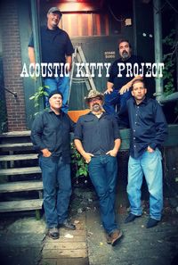Acoustic Kitty Project 