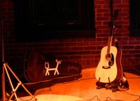 Acoustic Kitty Project 