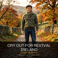Cry out for Revival Ireland by Liam Murphy