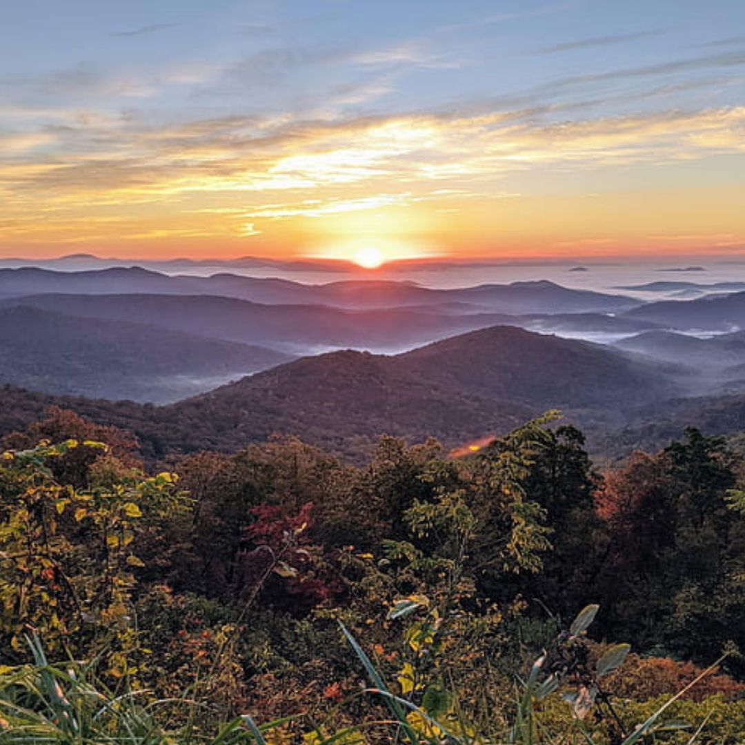 Buncombe Co. - NC Digital Package (digital Music + Movie)