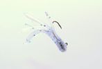  FROSTED FREEZE CUSTOM MINIJIG TUBE BAIT