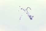 MAGIC MINIJIG TUBE BAIT 