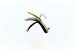 BLACK VANILLA MINIJIG TUBE BAIT