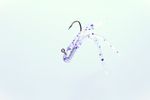 MAGIC MINIJIG TUBE BAIT 