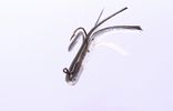 BLACK SIERRA CANDIES MINIJIG TUBE BAIT
