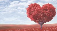 Valentine's 