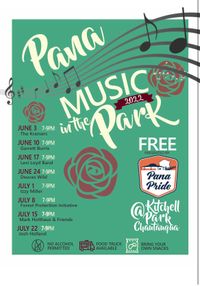 Garrett Burris solo at Pana Music at the Park