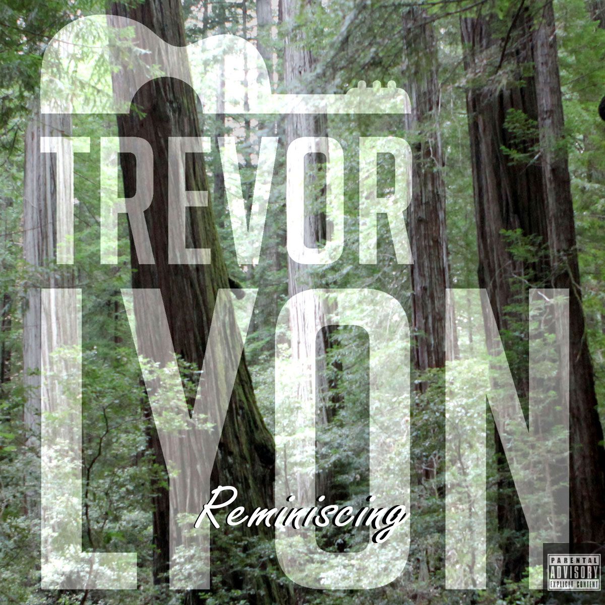 Reminiscing - CD