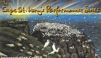 Cape St Mary's Performance Series