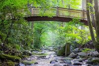 Knoxville Area Dulcimer Club Picnic