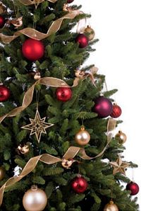 The "Virtual" Christmas Workshop with Larry & Elaine