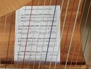 Sheet music for solo harp commission