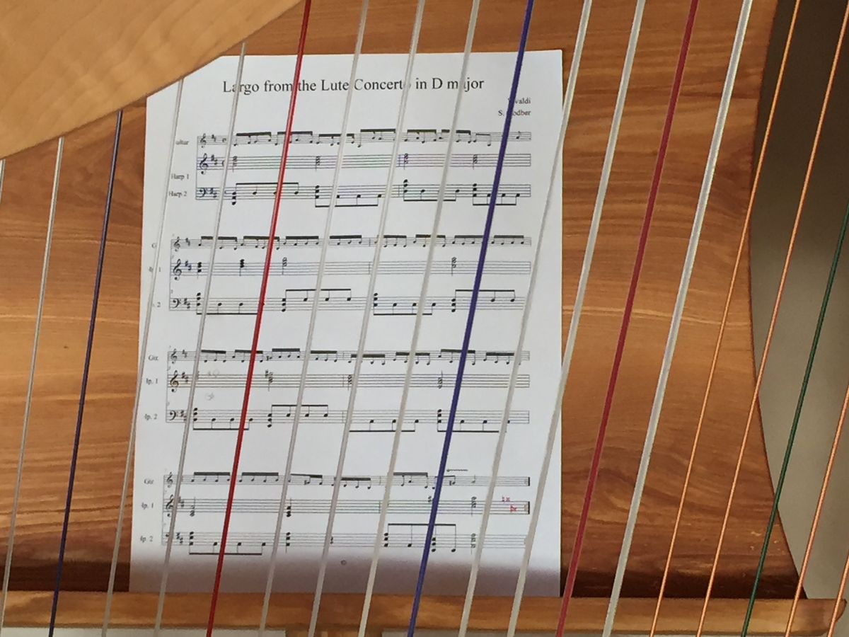 Sheet music for solo harp commission
