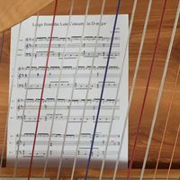 Sheet music for solo harp commission