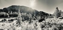 COLVILLE RESERVATION 1, Open Edition Print