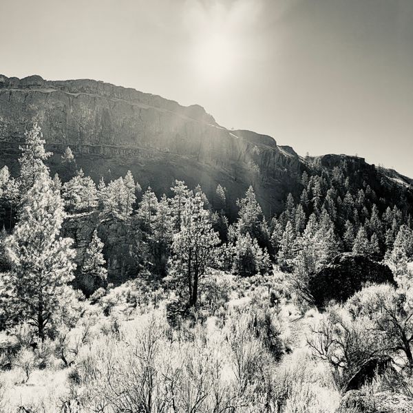 COLVILLE RESERVATION 1, Open Edition Print