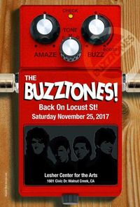 THE BUZZTONES IN CONCERT!! -- "Back on Locust Street" -- An Acoustic and Electric Evening! -- Alan Thiele, Dan DeShara, Ken Cooper, & David Martin performing!