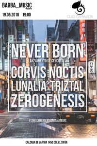 Corvus Noctis