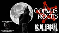 Corvus Noctis