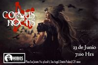 Corvus Noctis