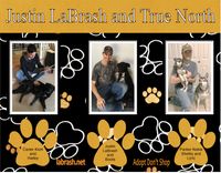 Pet Adoption and Photos