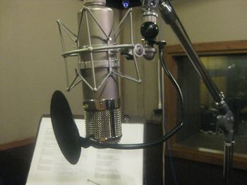 Vocal mic 2
