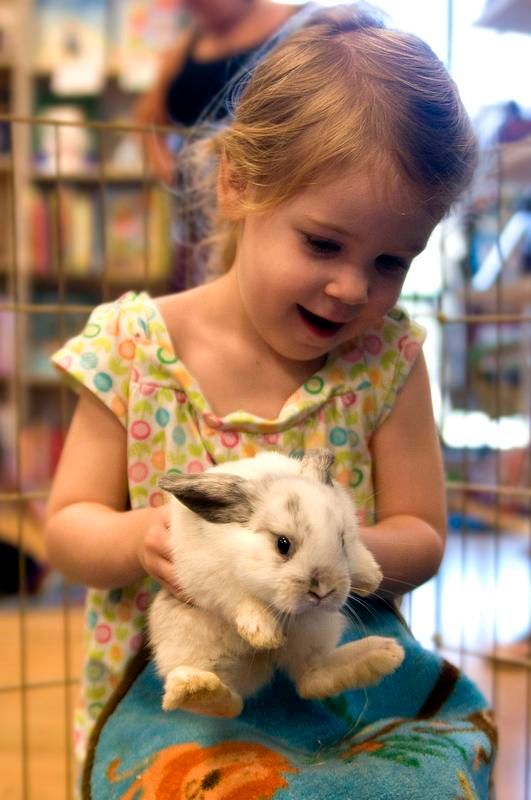 Talens Rabbits Happy Tails Flemish Giants - Bunny Rental