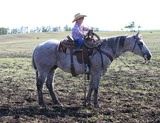 Solano B Super  and Quaide learning to ride
