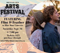 Mountain View Arts Festival