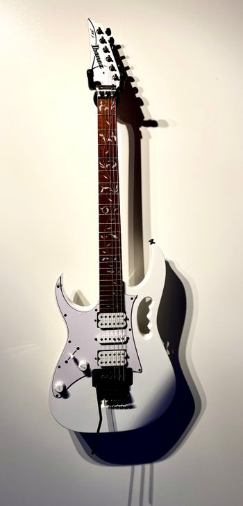 Ibanez Jem Jr.  The budget version of Steve Vai's signature guitar.  It goes without saying I'm no shredder but I wanted something with a tremolo.  And, you know, it just looks friggin' cool!
