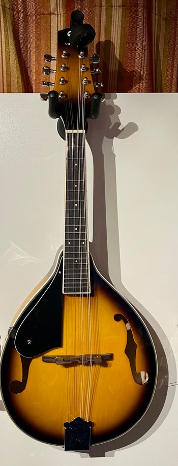 Cheap-ass mandolin purchased from the evil Amazon.  Really just wanted to see if I could learn how to play the mando so I picked up this $100 thing.  Tough to tune, not great sound quality but a good place to learn.
