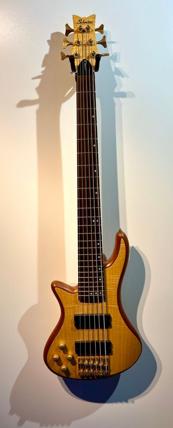 Schecter Diamond Series Custom 6 bass purchased at Daddy's Junky Music in Portsmouth NH.  Year long forgotten, but just before the store closed.

