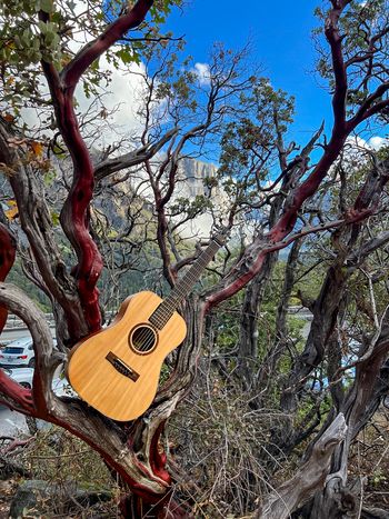 The Journey travel guitar in Yosemite National Park, with El Capitan in the background through the tree.
