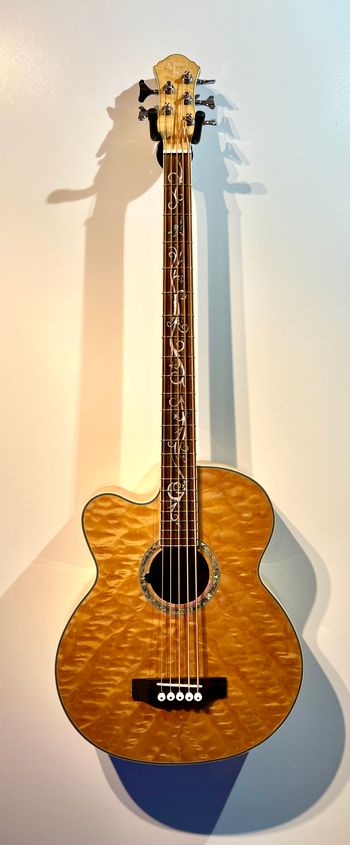 Michael Kelly 5 String Acoustic Bass.  Almost certainly purchased online but no idea when.
