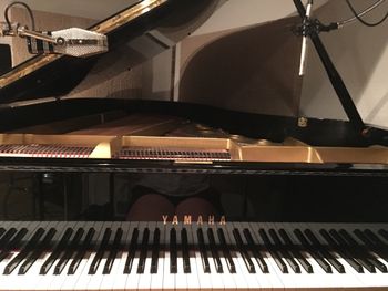 Piano and Elissa :)
