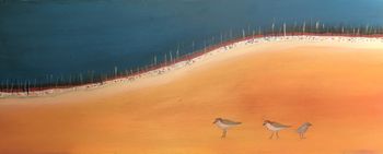 Red Capped Plovers

