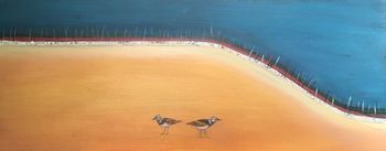 Ruddy Turnstones
