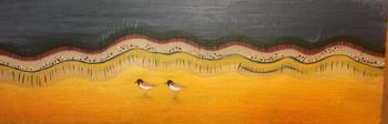 Hooded Plovers
