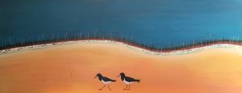 Pied Oystercatchers
