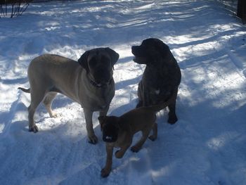 My new family GPS and Mona
