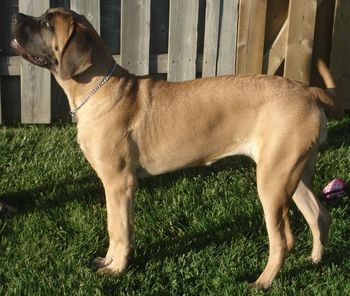 5 mos old and standing for 2 seconds.
