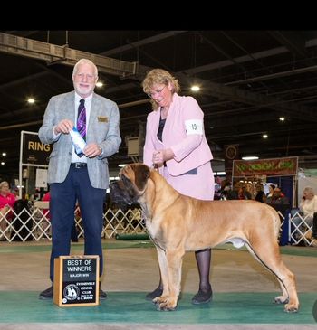 BOW Kentucky for a 5 pt major.  11 mos old
