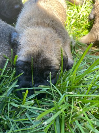 First day outside.
