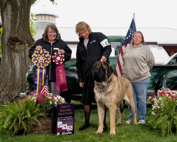REMC Specialty with Judge Mary Speer and MBISS, GCH AKC, CKC Cabazon's Cuppa Joe TT CGN
