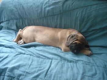 ....sleeping

