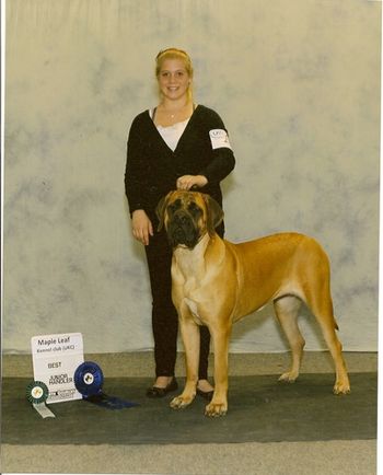 Alex winning the JR. Handeling for the 3rd time. Weekend of November 19-21
