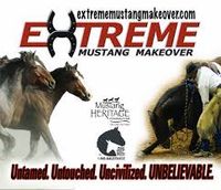 2017 Extreme Mustang Makeover-Ft Worth