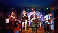 The Blu-Tones @ Falling Waters