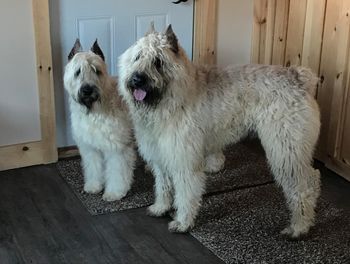 Sophie and Ludo poseing pretty!
